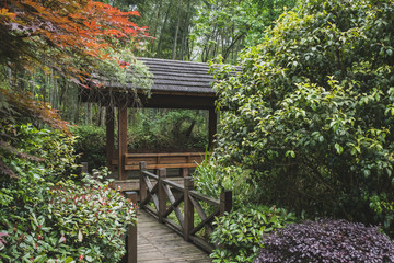 Pavilion in Mingyue Mountain, Jiangxi, China