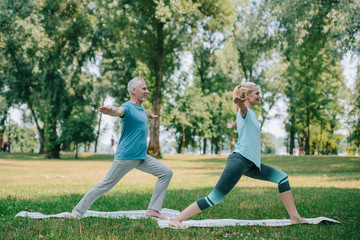 mature man and woman standing in warrior poses while practicing yoga on lawn in park