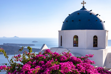 Santorini  grecia mare Fia con buoganville e chiesa