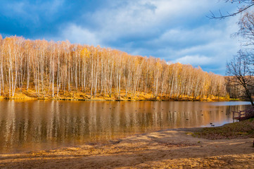 Late autumn in the forest by the lake