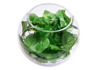 Glass Bowl with Ivy Leaves