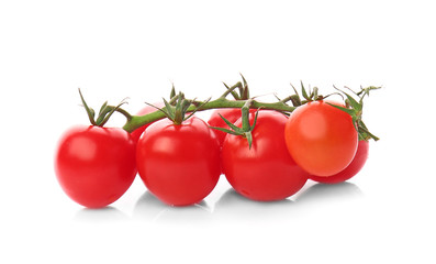Fresh tomatoes on white background
