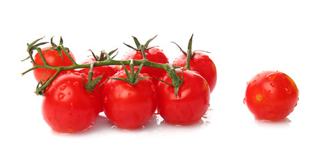 Fresh tomatoes on white background