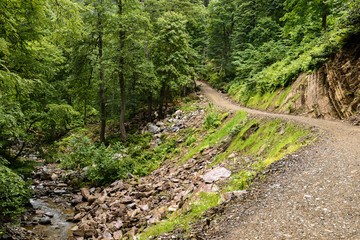 The road along the mountain river