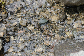 stones at the bottom of a mountain stream 1