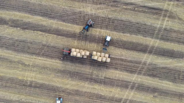 Aerial: Haymaking. Tractor collecting round bales of hay and loaded to truck. Agricultural Footage On the Field.