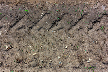 Dried soil unsuitable for the cultivation of floriculture.