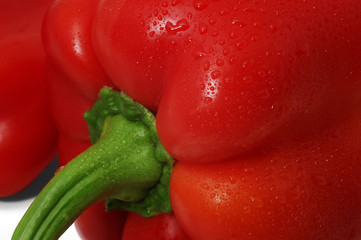 Close-up of red bell pepper on white background with dropes of water