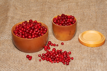 Two wooden bowls with red bilberry on canvas as background