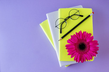 Interesting books, pencil and reading glasses and flower. Concept back to school, education, international book day.