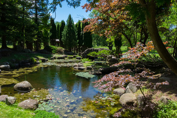 Japanese Garden