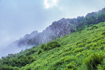 High mountains with forested slopes and peaks hidden in the clouds.