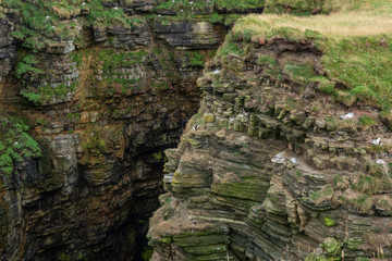 Geo of Sclaites Bird Rocks north Scotland 