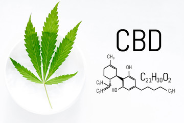 CBD Cannabis cream with marijuana green leaf. Molecular structure medical chemistry formula cannabis of the formula CBD cannabidiol. Natural cosmetics with hemp extract on white background.