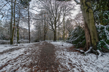 The approach to the large duck pond situated in Apley Woods Shropshire 