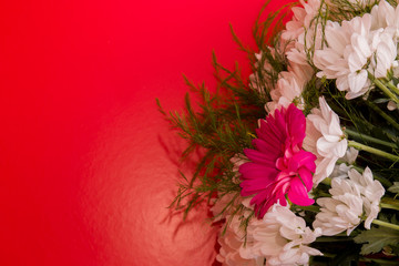bouquet of white chrysanthemums with pink gerbera on a pink background top view copy space red bright