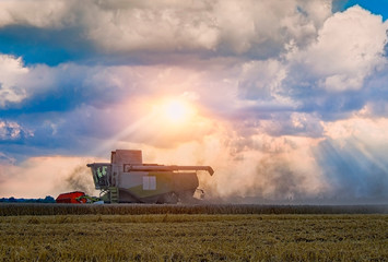 Obraz premium harvester machine