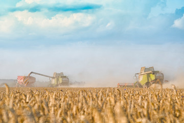 Fototapeta premium harvester machine
