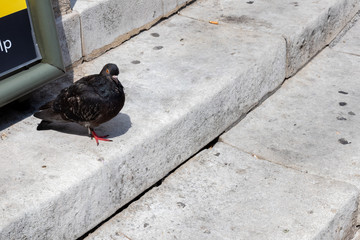 London City, In the summer