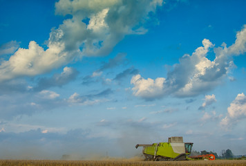 Fototapeta premium harvester machine