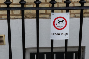 London City, In the summer