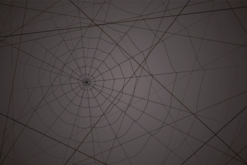 concentric white web on a gray background