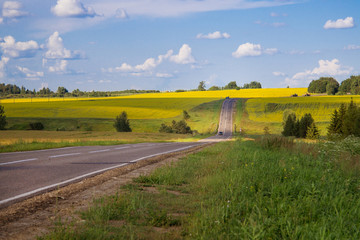 Country Road Landscape In Summer