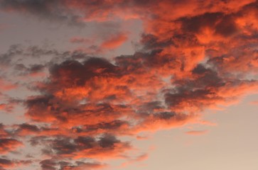 Fototapeta premium sunset at summer in a cloudy sky