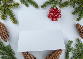 Christmas framework with evergreen fir tree