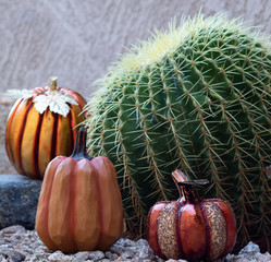 Holiday in the desert with the catcus © Cynthia