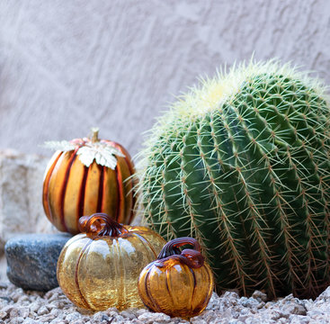 Holiday in the desert with the catcus