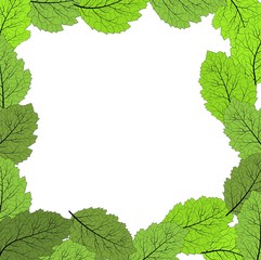 Frame with green leaves on a white background for any designs.