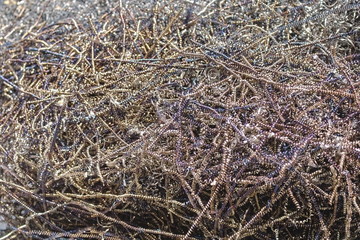 Spiral-cut pieces of metal shavings from a metal cutting machine. Recycling waste machining. Recycling of metals.