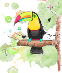 Ilustración digital de un tucán, ave de los bosques tropicales parado en una rama