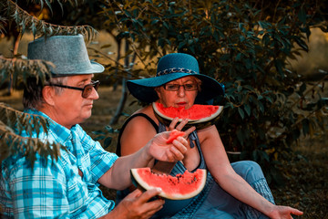 Happy senior couple eating watermelon in the park
