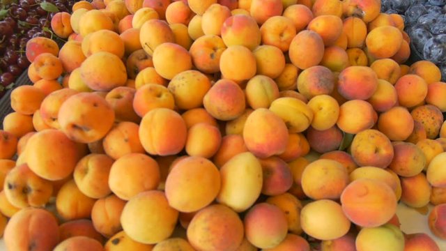 A pile of Apricots on Market Table