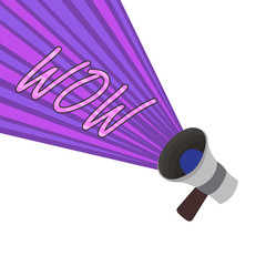Text sign showing Wow. Conceptual photo Expressing astonishment and awe Historic success Excite someone greatly.