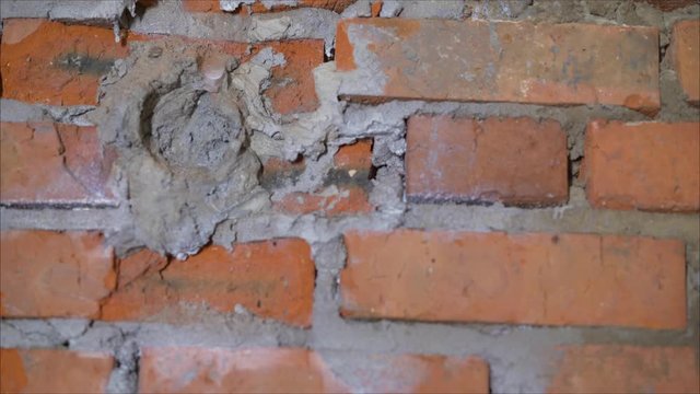 Brick wall primer. Roller the steeping primer before applying to a brick or concrete wall. Primer white in the tank for coloring with a roller.