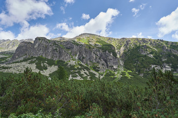 Deep walley in High Tatras in Slovakia, highest mountain range in Carpathian with wild alpine virgin forest of dwarf mountain pine. Tatra park is member of UNESCO's World Network of Biosphere Reserves