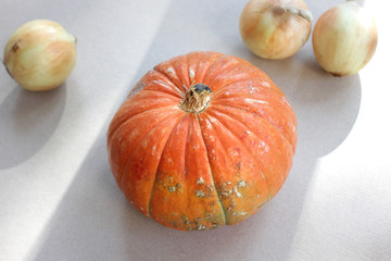 Orange pumpkin and onions on cardboard grey