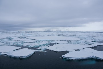 Banquise en Antarctique © Stéphane