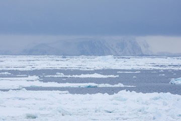 Banquise en Antarctique