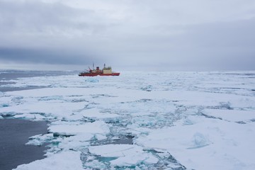 brise-glace et banquise © Stéphane
