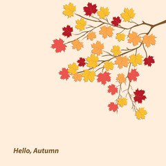 Branch with colorful maple leaves - isolated on a light background - vector. Hello, Autumn.