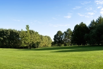 Fototapeta premium Photo of landscape