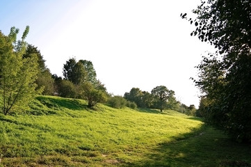 Beauty autumn landscape