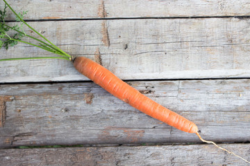 Fresh and sweet carrot on a grey wooden table