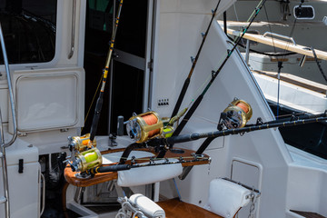 A la captura del Marl&iacute;n Blue