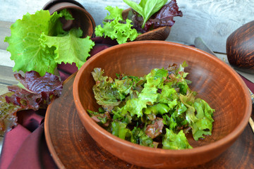 Organic Spring Mix Lettuce green and red in ceramic bowl
