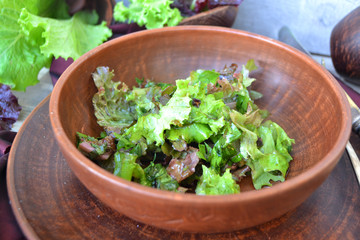 Bowl of fresh organic lettuce leaves in salad